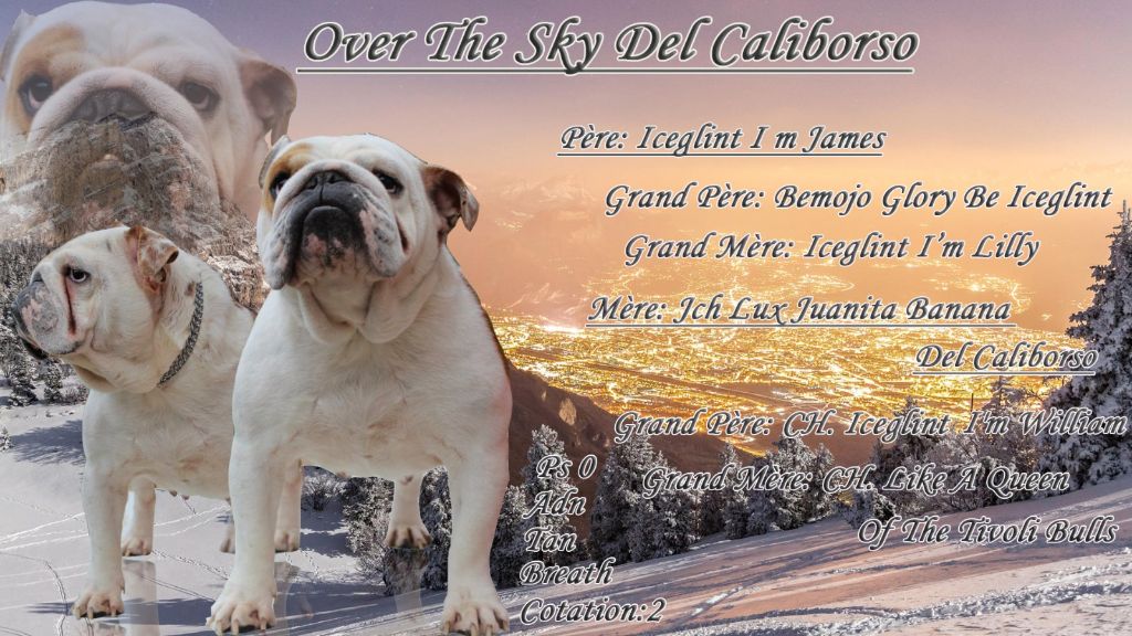 Over the sky del Caliborso