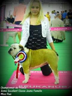 Des Bulljack Des Bestfriends - 2eme au CHAMPIONNAT DE FRANCE classe jeune